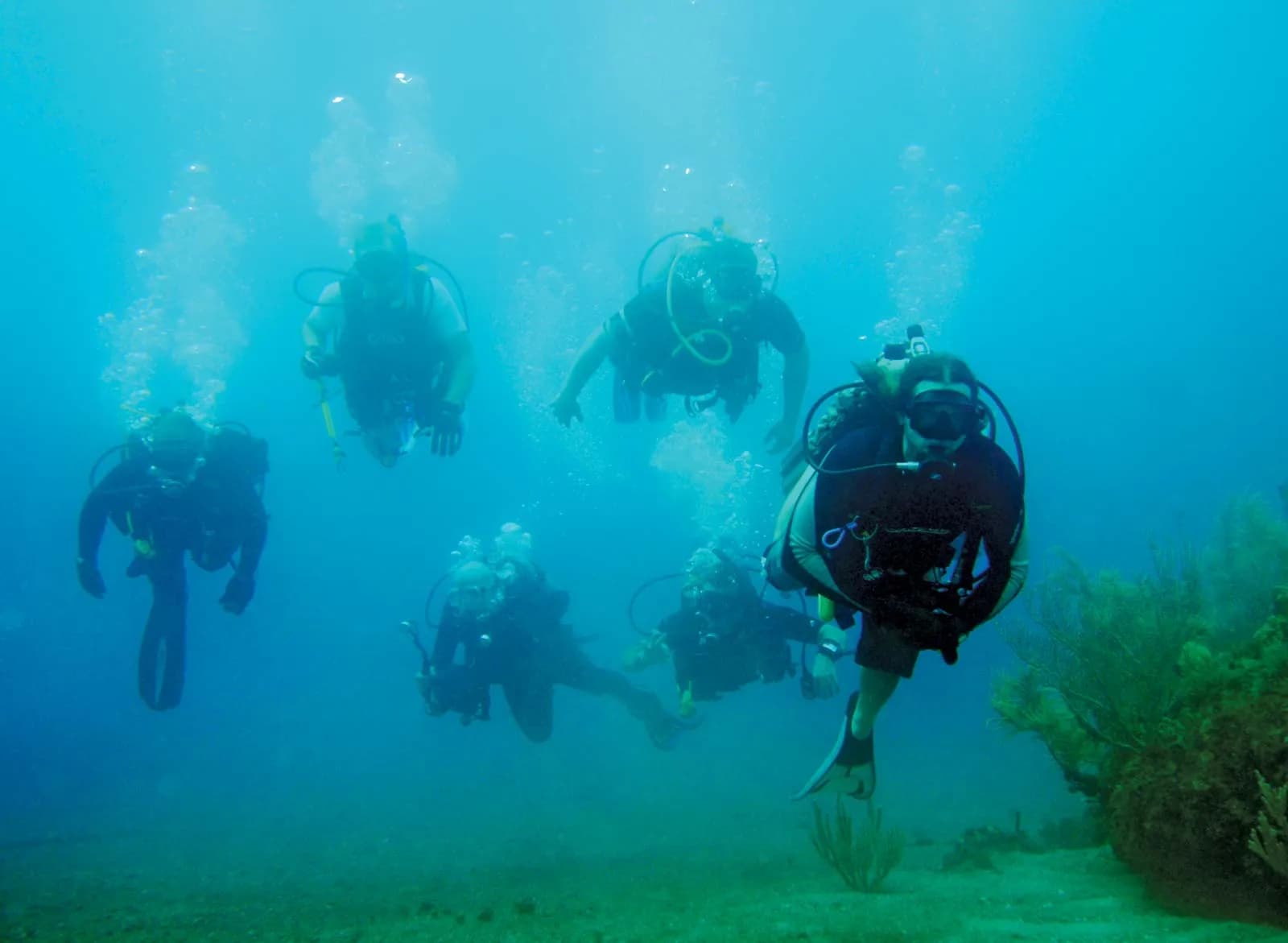 Luxury liveaboards designed for eco-conscious scuba diving vacations