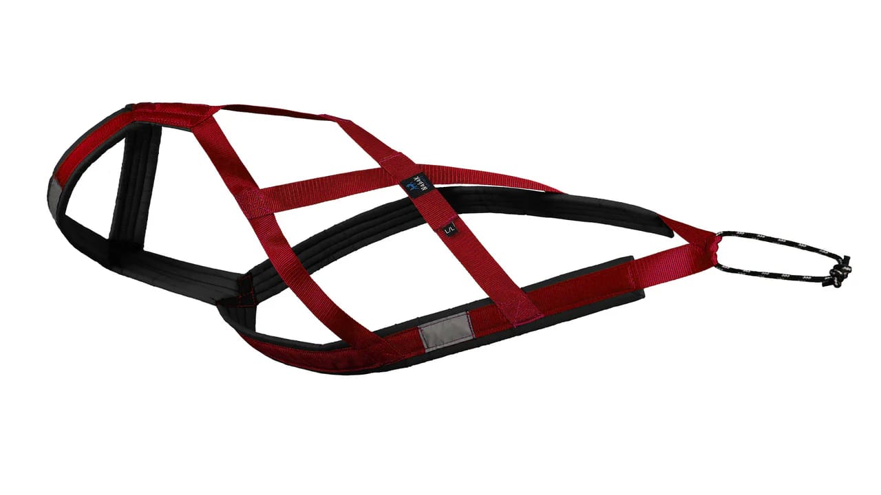 Private Label Dog Harness Supplier with Low MOQ